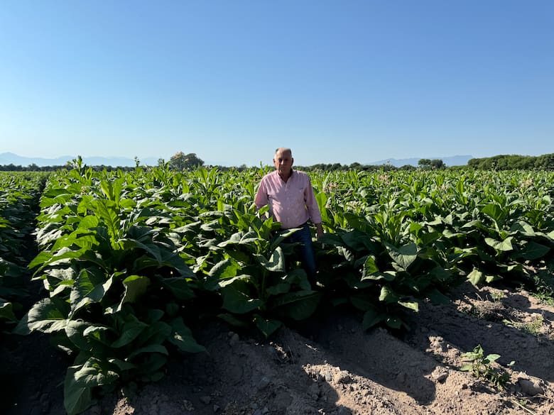 El camino de Luis Demetrio Elías en el Valle de Lerma