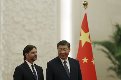 Luis Lacalle Pou y Xi Jinping, en Pekín. (Florence Lo/Pool via AP)