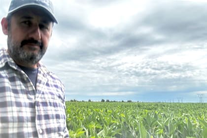 Luis Martinelli, productor de granos en Roldán, provincia de Santa Fe