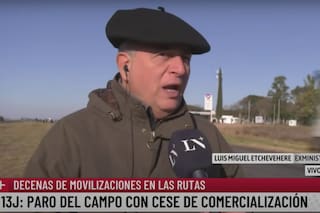 “El Gobierno es un loquero”: la fuerte crítica de un exministro de Macri