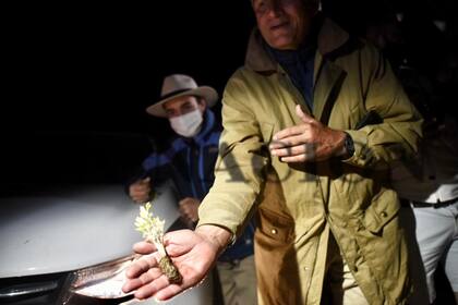Luis Miguel Etchevehere muestra a LA NACION un cultivo del campo, fruto de la huerta de los activistas