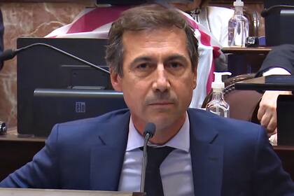 Luis Naidenoff buscará renovar otra vez su banca a senador por Formosa