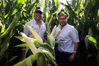 Maíz en la Patagonia: un sueño que se convirtió en realidad