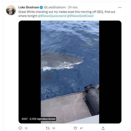 Luke Bradnam subió a su cuenta de twitter la secuencia de la aparición del tiburón blanco y de inmediato se viralizó