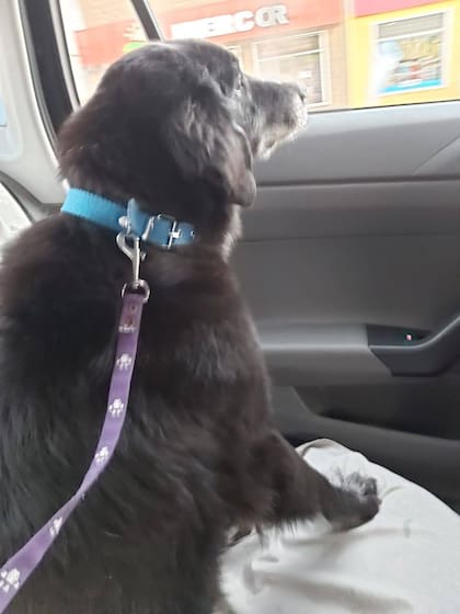 Luke fue adoptado por Sol.