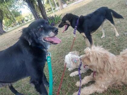 Luke tiene una vitalidad que asombra a todos.