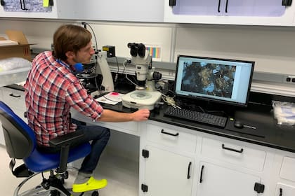 Simon y Gargano encontraron evidencia de la hipótesis de la colisión cuando realizaban un estudio para comprender las diferencias significativas en la composición química entre las rocas de la Tierra y la Luna