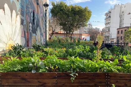 Luna de enfrente es una plaza y huerta barrial en la comuna 14, promovida por Pablo Rivero y Guido Tassi (Don Julio y El Preferido) donde los vecinos disfrutan de una huerta de la cual Ana es agricultora. Los vecinos son voluntarios y todo lo que se cosecha ahí se dona a la comunidad e instituciones del barrio.