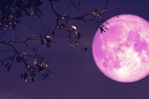 Superluna llena: ¿Por qué se llama de fresa?