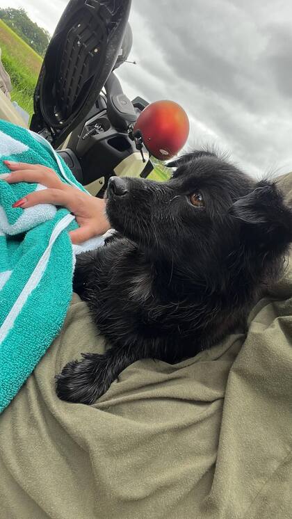 "Luna nos encontró, no fuimos a buscarla".