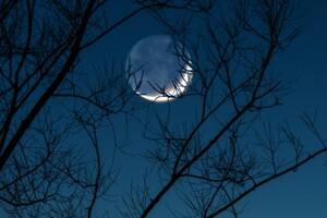 Tres rituales para hacer con la Luna nueva de abril