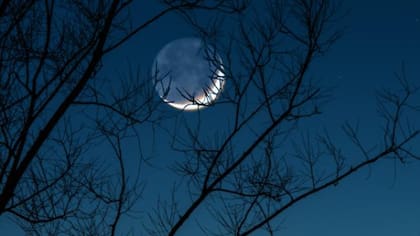 Luna nueva, también denominada novilunio o interlunio
Foto: iStock
