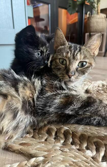 Luna y una de sus crías.