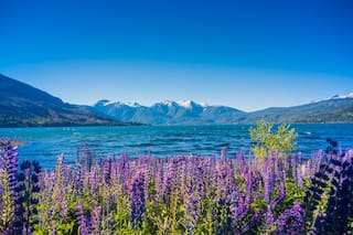 Cinco parques nacionales que florecen en primavera y vale la pena conocer