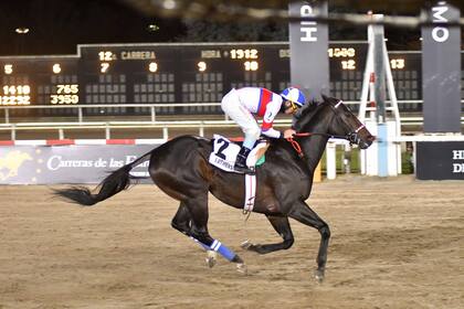 Luthier Blues corrió 20 carreras y ganó 14, las últimas 10 de manera consecutiva