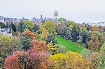 Luxemburgo es un pequeño país de Europa que limita con Bélgica, Francia y Alemania. Es en su mayoría rural, con un denso bosque.