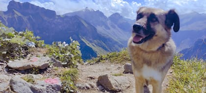 Lycian es un apoyo emocional para Krieg.