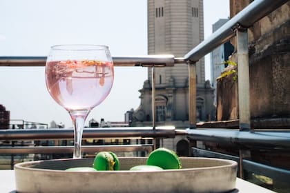 Macarons de té de matcha