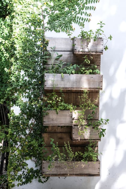 Macetas colgantes, latas recicladas y estanterías voladoras: el ingenio también florece en los jardines ninja