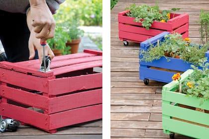 Macetas con ruedas, manijas o hechas con materiales livianos permiten mover las plantas según el sol, el clima o tu humor