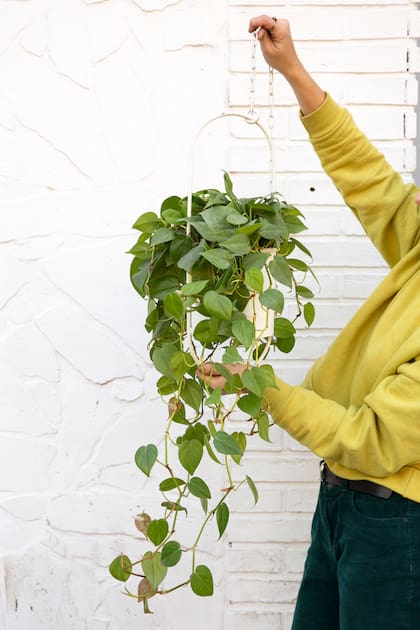 Macetas móviles o estructuras modulares permiten cambiar la estética botánica como quien cambia un cuadro de lugar