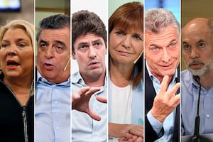 La preocupación de Mauricio Macri, la cautela de la UCR y la jugada de Elisa Carrió