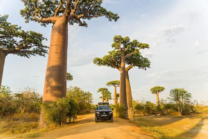Madagascar, un destino ávido de turistas