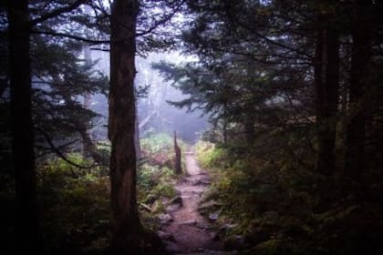 Madison cuenta con el Sendero de los Apalaches que ofrece una belleza natural sin igual (SenderoApalache/MadisonCounty)