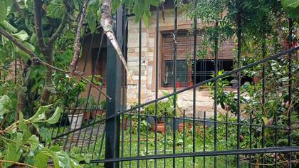 Madrugada de terror en Ituzaingó: un árbol cayó sobre su casa y estuvieron 15 horas para poder salir