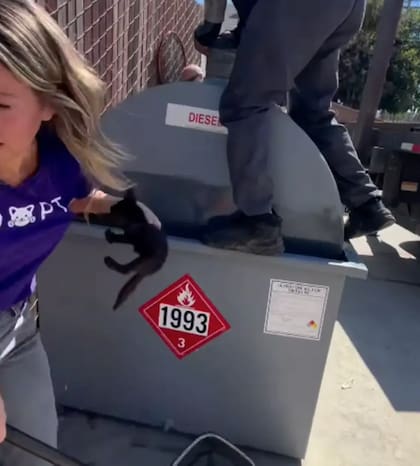 Magee pudo rescatar a los cachorros en problemas (Foto: The Dodo)