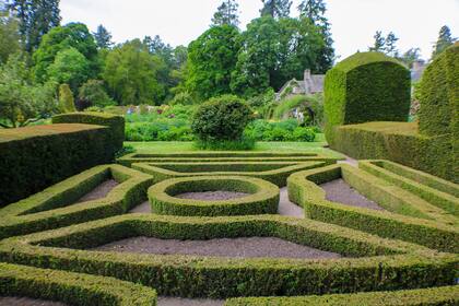 Magníficos topiaros de taxus ostentan más de dos siglos