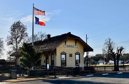 Magnolia es una ciudad ubicada en el condado de Montgomery en el estado estadounidense de Texas