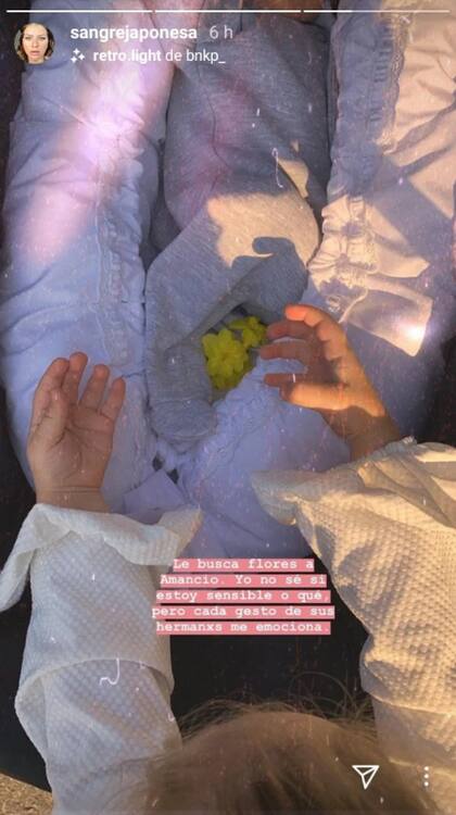 Magnolia le regala flores a su hermano recién nacido