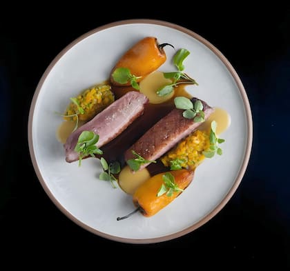 Magret de pato en Alo's