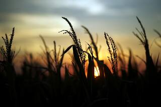 Gestión ambiental e impacto social: por qué ayudan a mejorar el financiamiento