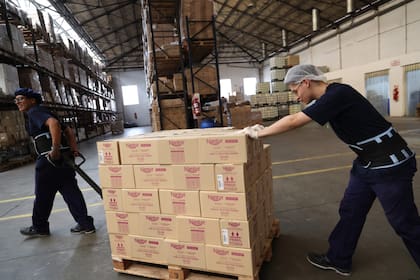 Maigal le da empleo a 20 personas, entre ellos, a Fabián y Cristian, dos jóvenes a los que el trabajo les cambió la vida