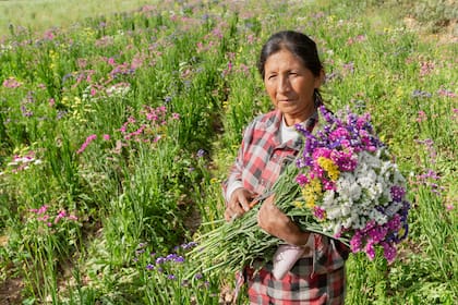 Maimará forma parte de la Quebrada de Humahuaca, un área declarada Patrimonio de la UNESCO