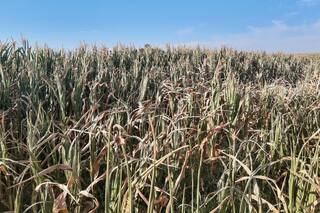 Una campaña donde falta definir el desenlace