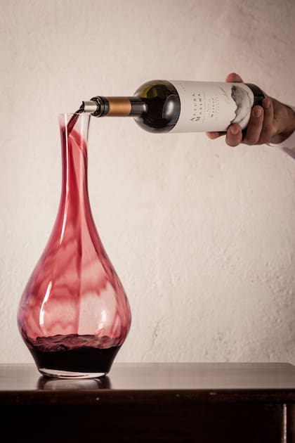 Malbec, Pinot Noir, Sauvignon Blanc son las mejores uvas de Colomé.