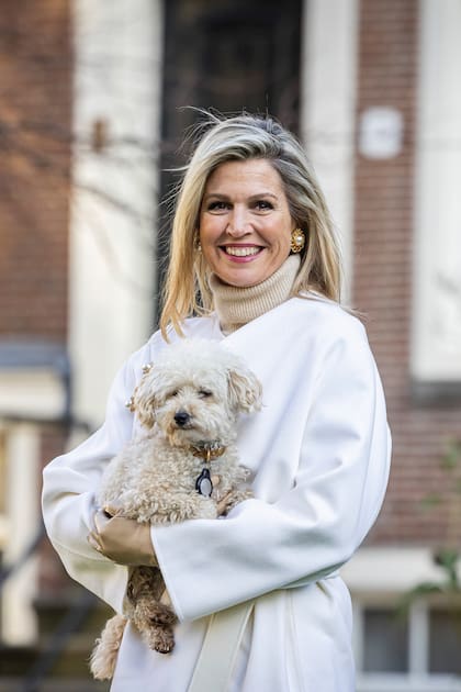 MAMBO. Hay pocos perros más fotografiados
que Mambo, el caniche de Guillermo Alejandro
y Máxima de Países Bajos y sus tres hijas, las
princesas Amalia, Alexia y Ariane. Suele ser gran
protagonista de los posados de sus dueños, que lo presentaron de manera oficial en 2001, coincidiendo con el Día del Animal. Desde ese día, Mambo se unió a Skipper y Nala, los labradores que ya estaban en palacio.
