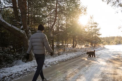 Mammoth Mountain puede superar los 10 metros de nieve en años favorables