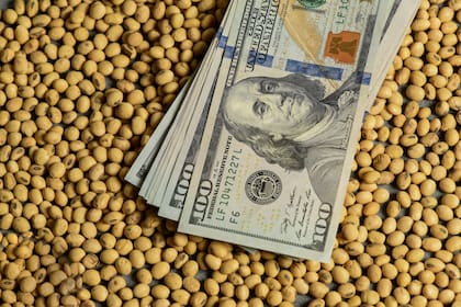 Mañana termina el dólar soja III, un tipo de cambio diferencial para los productores agrícolas