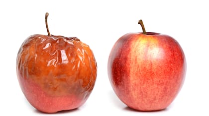 Manchas y hendiduras en las manzanas pueden significar un interior más nutritivo