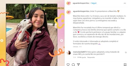 Manchita, otro de los perros rescatados por María Becerra