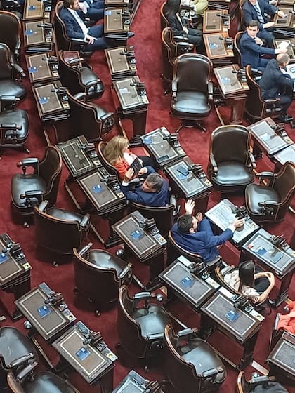 Manes vs. Caputo, primer round