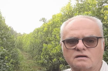 Manfredo Seifert: “Todos y absolutamente todos vamos a terminar administrando pobreza, miseria y la actividad yerbatera pasará a ser marginal"