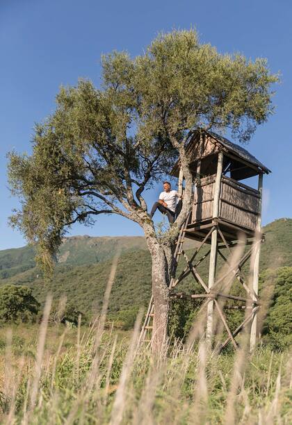 Mangrullo para avistajes en La Ceiba