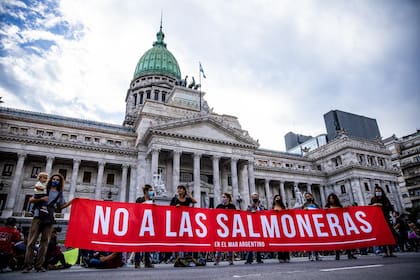 Manifestación en el Congreso contra las salmoneras en Mar Argentino