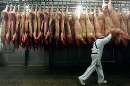 Los productores aseguran que están con rentabilidad negativa