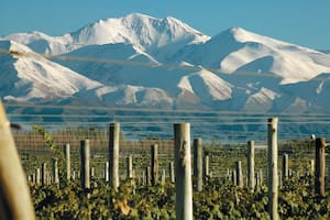 Las bodegas mendocinas proyectarán partidos y ofrecerán promociones especiales